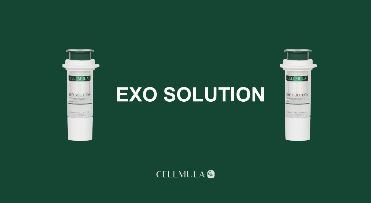 Exo Solution