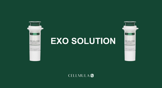 Exo Solution